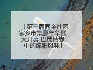 第三届同乡社团家乡市集嘉年华盛大开幕 巴蜀情缘中的绵阳风味