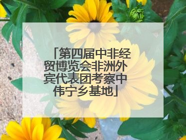 第四届中非经贸博览会非洲外宾代表团考察中伟宁乡基地