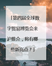 第四届全球数字贸易博览会来沪推介，将有哪些新亮点？
