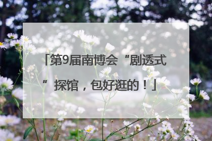 第9届南博会“剧透式”探馆，包好逛的！