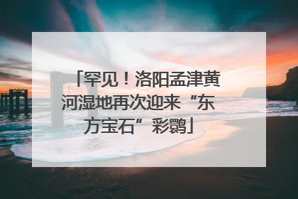 罕见！洛阳孟津黄河湿地再次迎来“东方宝石”彩鹮
