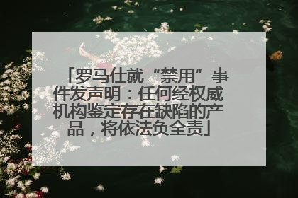 罗马仕就“禁用”事件发声明：任何经权威机构鉴定存在缺陷的产品，将依法负全责