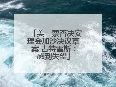 美一票否决安理会加沙决议草案 古特雷斯：感到失望