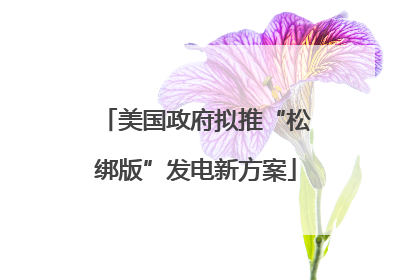 美国政府拟推“松绑版”发电新方案