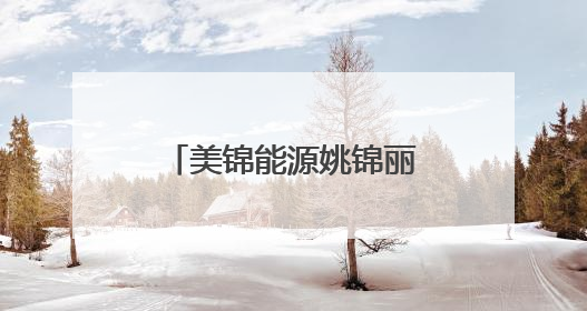 美锦能源姚锦丽：深耕氢能蓝海，领航绿色未来
