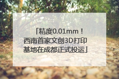 精度0.01mm！西南首家文创3D打印基地在成都正式投运