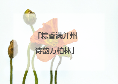 粽香满并州 诗韵万柏林