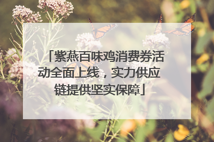 紫燕百味鸡消费券活动全面上线，实力供应链提供坚实保障