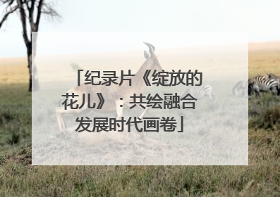 纪录片《绽放的花儿》：共绘融合发展时代画卷