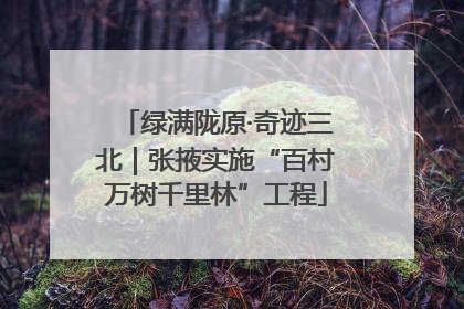绿满陇原·奇迹三北｜张掖实施“百村万树千里林”工程