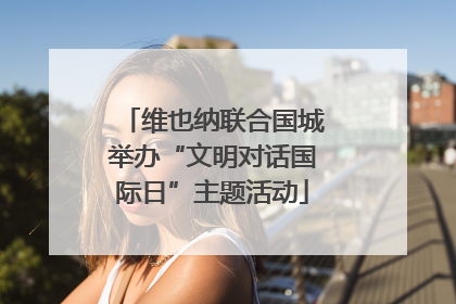 维也纳联合国城举办“文明对话国际日”主题活动