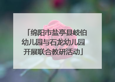 绵阳市盐亭县岐伯幼儿园与石龙幼儿园开展联合教研活动