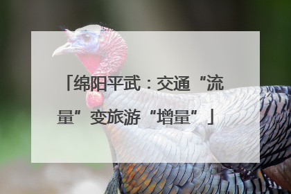 绵阳平武：交通“流量”变旅游“增量”
