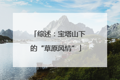 综述：宝塔山下的“草原风情”