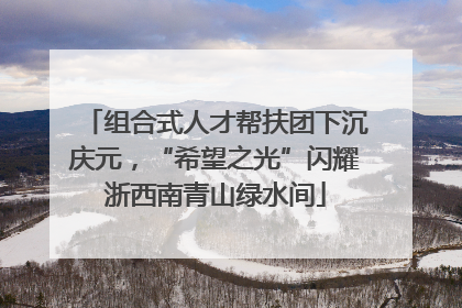 组合式人才帮扶团下沉庆元，“希望之光”闪耀浙西南青山绿水间