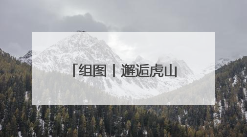 组图丨邂逅虎山公园花海芬芳 享受初夏限定美好