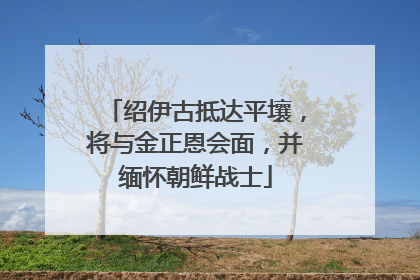 绍伊古抵达平壤，将与金正恩会面，并缅怀朝鲜战士
