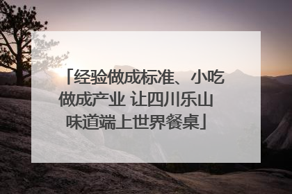经验做成标准、小吃做成产业 让四川乐山味道端上世界餐桌