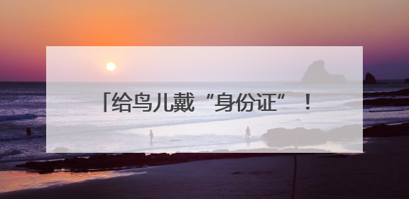 给鸟儿戴“身份证”！25年，他们守护73余万只鸟类迁徙密码