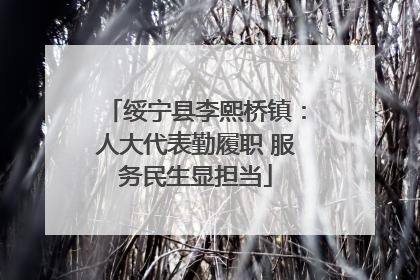 绥宁县李熙桥镇：人大代表勤履职 服务民生显担当