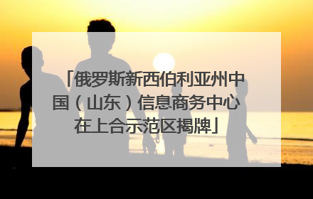 俄罗斯新西伯利亚州中国（山东）信息商务中心在上合示范区揭牌