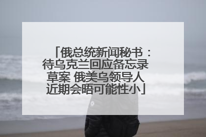 俄总统新闻秘书：待乌克兰回应备忘录草案 俄美乌领导人近期会晤可能性小