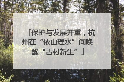 保护与发展并重，杭州在“依山理水”间唤醒“古村新生”