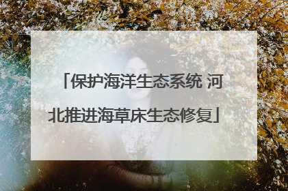 保护海洋生态系统 河北推进海草床生态修复