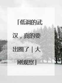 低调的武汉，真的要出圈了｜大刚观察