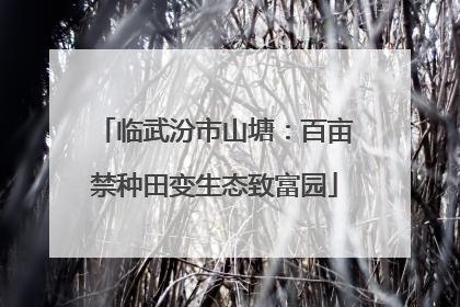 临武汾市山塘：百亩禁种田变生态致富园
