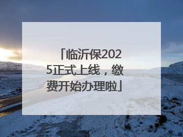 临沂保2025正式上线，缴费开始办理啦
