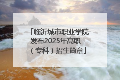 临沂城市职业学院发布2025年高职（专科）招生简章