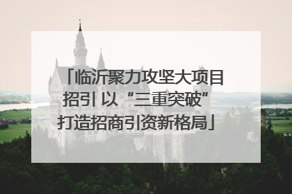 临沂聚力攻坚大项目招引 以“三重突破”打造招商引资新格局