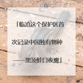 临沧这个保护区首次记录中国独有物种——黑顶蛙口夜鹰