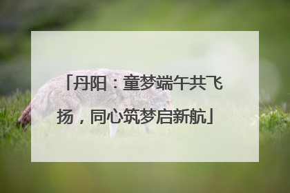 丹阳：童梦端午共飞扬，同心筑梦启新航