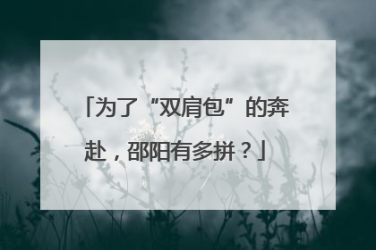 为了“双肩包”的奔赴，邵阳有多拼？