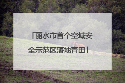 丽水市首个空域安全示范区落地青田