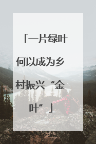 一片绿叶何以成为乡村振兴“金叶”