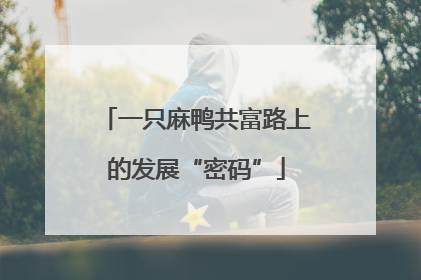 一只麻鸭共富路上的发展“密码”