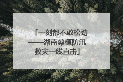 一刻都不敢松劲——湖南桑植防汛救灾一线直击