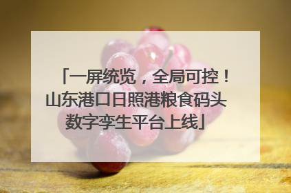一屏统览，全局可控！山东港口日照港粮食码头数字孪生平台上线
