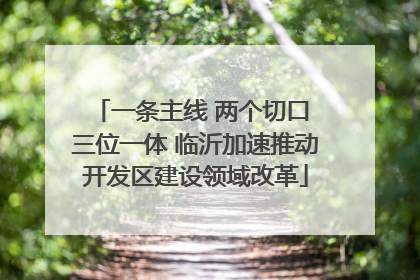 一条主线 两个切口 三位一体 临沂加速推动开发区建设领域改革