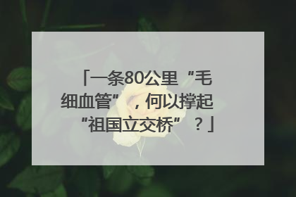 一条80公里“毛细血管”，何以撑起“祖国立交桥”？