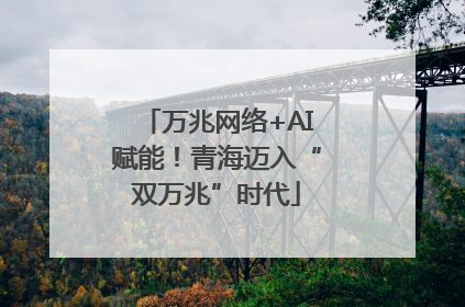 万兆网络+AI赋能！青海迈入“双万兆”时代