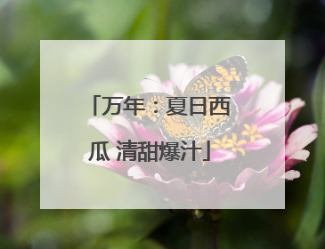 万年：夏日西瓜 清甜爆汁