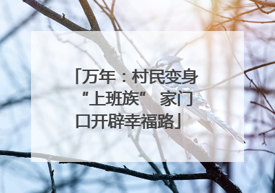 万年：村民变身“上班族” 家门口开辟幸福路