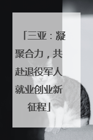 三亚：凝聚合力，共赴退役军人就业创业新征程