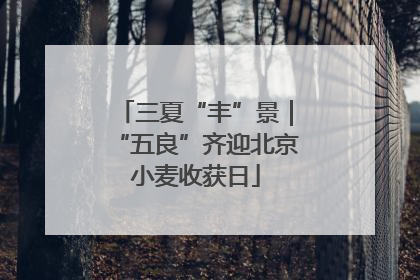 三夏“丰”景｜“五良”齐迎北京小麦收获日