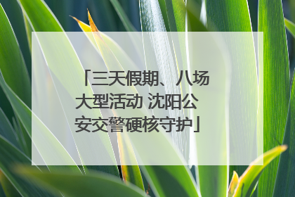 三天假期、八场大型活动 沈阳公安交警硬核守护