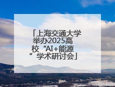 上海交通大学举办2025高校“AI+能源”学术研讨会